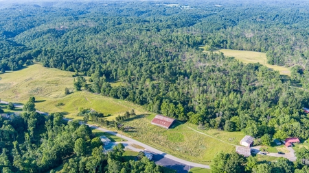 Hunting Land in Burkesville, Kentucky - image 6