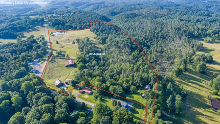 Hunting Land in Burkesville, Kentucky - image 4