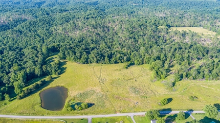 Hunting Land in Burkesville, Kentucky - image 8