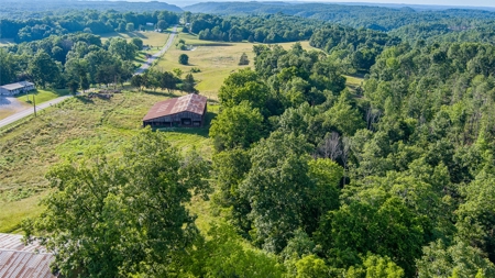 Hunting Land in Burkesville, Kentucky - image 16