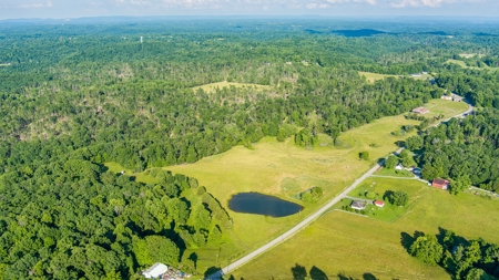 Hunting Land in Burkesville, Kentucky - image 13