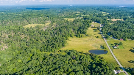 Hunting Land in Burkesville, Kentucky - image 11