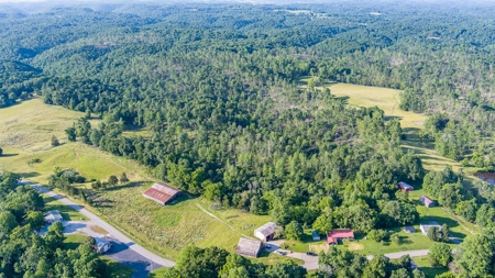 Hunting Land in Burkesville, Kentucky - image 7