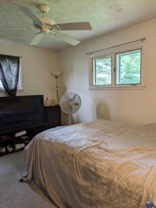 Duplex for Sale Gaylord Michigan - image 3