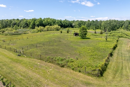 Winery for Sale in Plympton-Wyoming - image 17