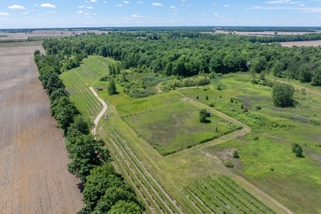 Winery for Sale in Plympton-Wyoming - image 18