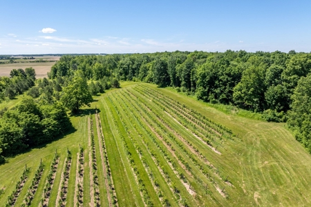 Winery for Sale in Plympton-Wyoming - image 14