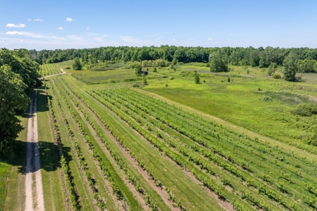 Winery for Sale in Plympton-Wyoming - image 12