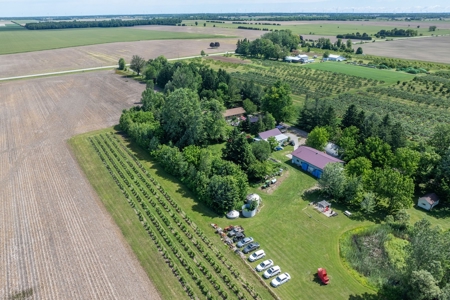 Winery for Sale in Plympton-Wyoming - image 10