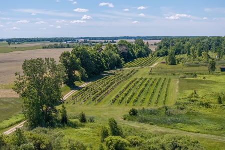Winery for Sale in Plympton-Wyoming - image 16