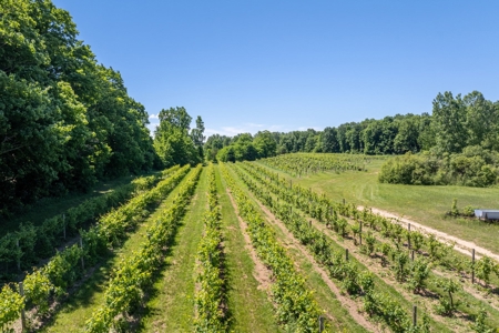 Winery for Sale in Plympton-Wyoming - image 13
