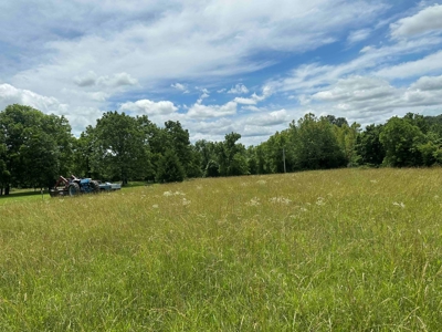 Ozarks Farm And Country Home For Sale Near Sturkie Arkansas - image 12