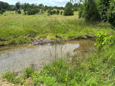 Ozarks Farm And Country Home For Sale Near Sturkie Arkansas - image 18