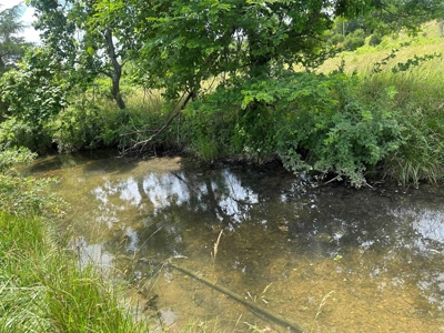 Ozarks Farm And Country Home For Sale Near Sturkie Arkansas - image 16