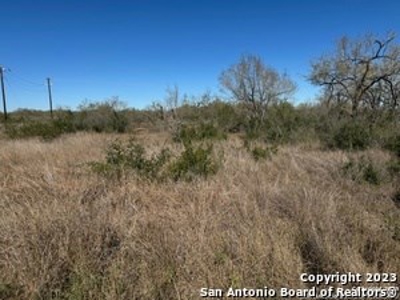 Land for Sale in Pleasanton, TX - image 8