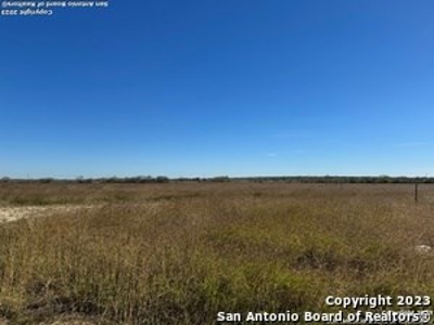 Land for Sale in Pleasanton, TX - image 2