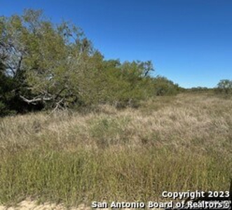 Land for Sale in Pleasanton, TX - image 5