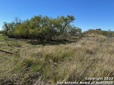 Land for Sale in Pleasanton, TX - image 6