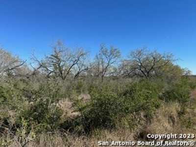 Land for Sale in Pleasanton, TX - image 8