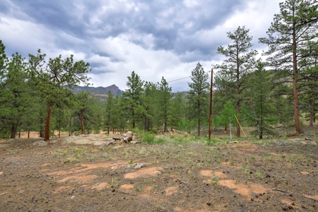 Mountain Paradise Awaits: 20 Acres in Tarryall River Valley - image 11