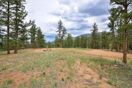 Mountain Paradise Awaits: 20 Acres in Tarryall River Valley - image 13