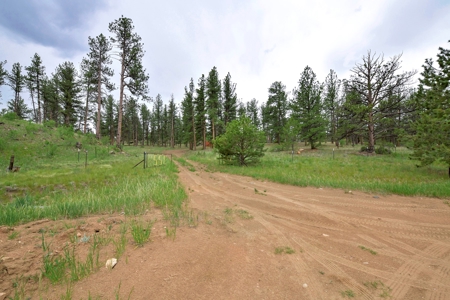 Mountain Paradise Awaits: 20 Acres in Tarryall River Valley - image 3