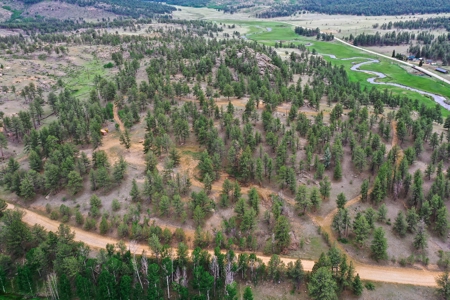 Mountain Paradise Awaits: 20 Acres in Tarryall River Valley - image 33