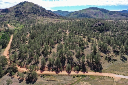 Mountain Paradise Awaits: 20 Acres in Tarryall River Valley - image 38
