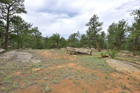 Mountain Paradise Awaits: 20 Acres in Tarryall River Valley - image 26