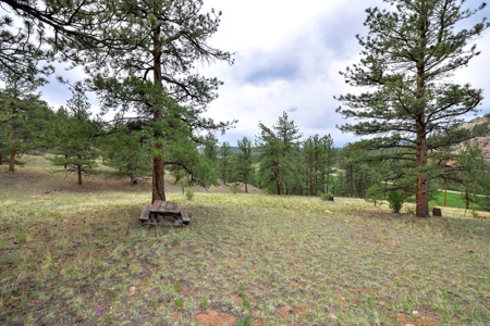 Mountain Paradise Awaits: 20 Acres in Tarryall River Valley - image 9