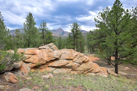 Mountain Paradise Awaits: 20 Acres in Tarryall River Valley - image 20