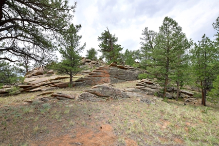 Mountain Paradise Awaits: 20 Acres in Tarryall River Valley - image 18