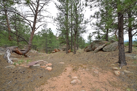 Mountain Paradise Awaits: 20 Acres in Tarryall River Valley - image 6