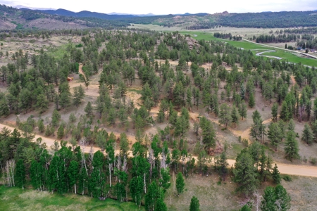 Mountain Paradise Awaits: 20 Acres in Tarryall River Valley - image 32