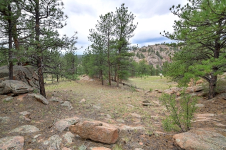 Mountain Paradise Awaits: 20 Acres in Tarryall River Valley - image 7