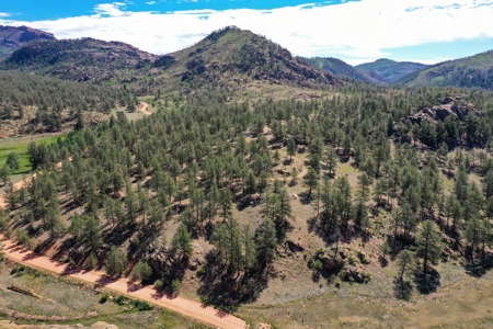 Mountain Paradise Awaits: 20 Acres in Tarryall River Valley - image 35