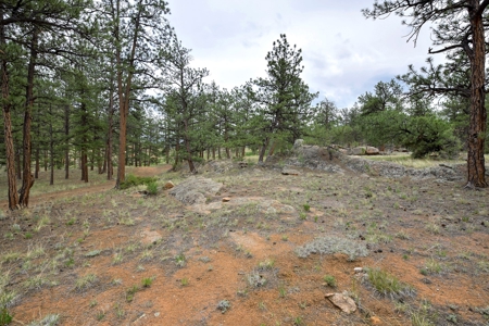 Mountain Paradise Awaits: 20 Acres in Tarryall River Valley - image 28
