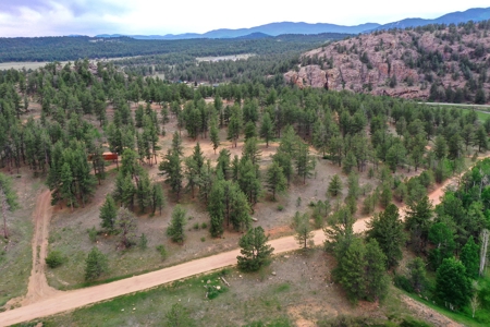 Mountain Paradise Awaits: 20 Acres in Tarryall River Valley - image 30