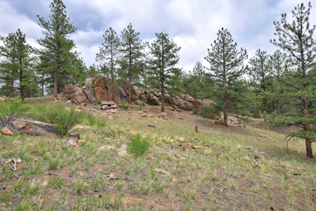 Mountain Paradise Awaits: 20 Acres in Tarryall River Valley - image 10