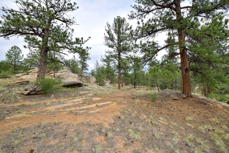 Mountain Paradise Awaits: 20 Acres in Tarryall River Valley - image 24
