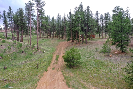 Mountain Paradise Awaits: 20 Acres in Tarryall River Valley - image 34