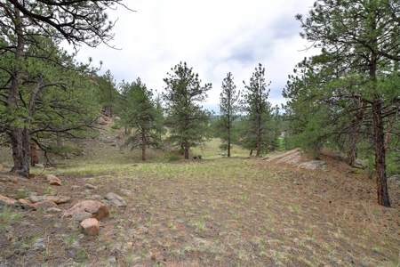 Mountain Paradise Awaits: 20 Acres in Tarryall River Valley - image 8