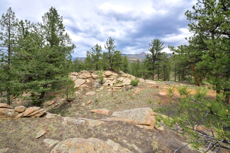Mountain Paradise Awaits: 20 Acres in Tarryall River Valley - image 19