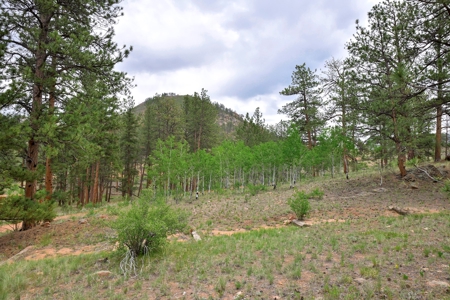 Mountain Paradise Awaits: 20 Acres in Tarryall River Valley - image 12