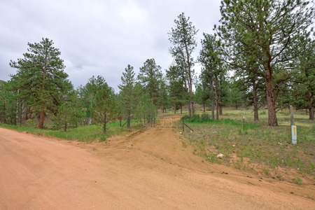 Mountain Paradise Awaits: 20 Acres in Tarryall River Valley - image 2