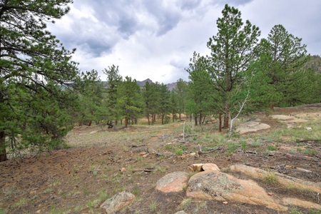 Mountain Paradise Awaits: 20 Acres in Tarryall River Valley - image 5