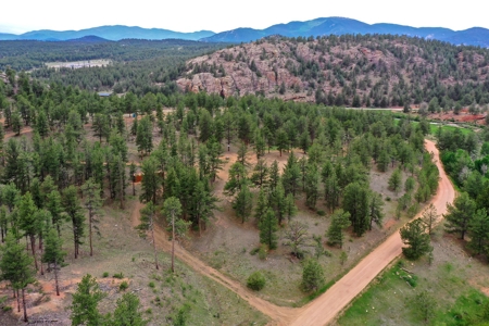 Mountain Paradise Awaits: 20 Acres in Tarryall River Valley - image 29
