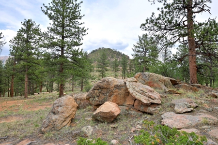 Mountain Paradise Awaits: 20 Acres in Tarryall River Valley - image 25