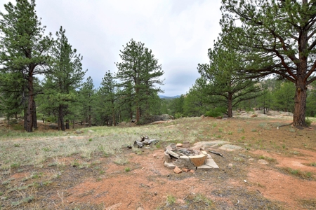 Mountain Paradise Awaits: 20 Acres in Tarryall River Valley - image 27