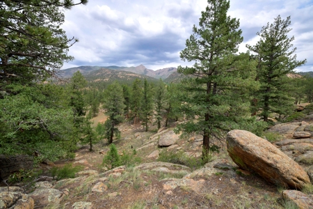 Mountain Paradise Awaits: 20 Acres in Tarryall River Valley - image 21